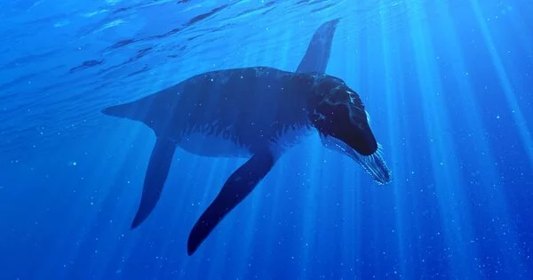Jurassic Sea Giants were Twice the Size of a Killer Whale