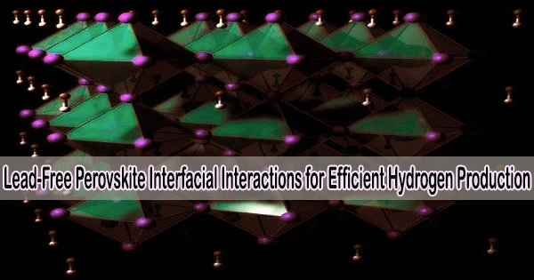 Lead-Free Perovskite Interfacial Interactions for Efficient Hydrogen Production