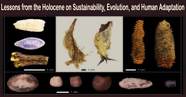 Lessons from the Holocene on Sustainability, Evolution, and Human Adaptation