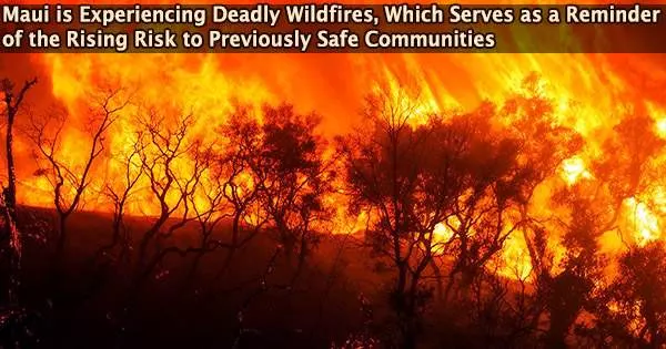 Maui is Experiencing Deadly Wildfires, Which Serves as a Reminder of the Rising Risk to Previously Safe Communities