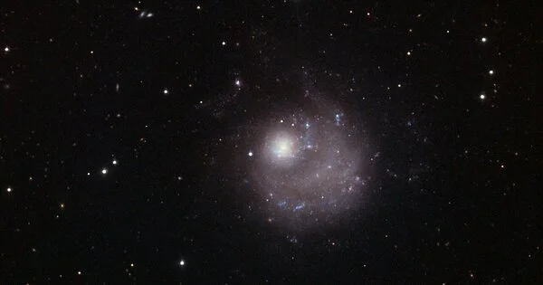 NGC 5474 – a Peculiar Dwarf Galaxy