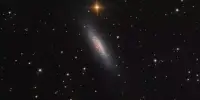 NGC 6503 – a field dwarf spiral galaxy