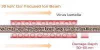 New Technique Exposes Energy-Dependent Radiation Damage to Focused Ion Beam-Milled lamella