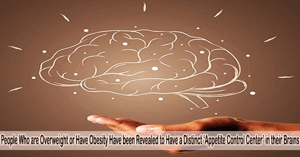 People Who are Overweight or Have Obesity Have been Revealed to Have a Distinct ‘Appetite Control Center’ in their Brains