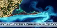 Phytoplankton Blooms Provide Information on Climate Change Effects