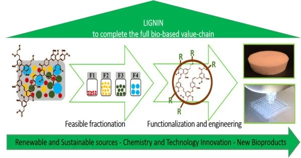 Profitable use of Renewable Resources may be enabled by Lignin Separation
