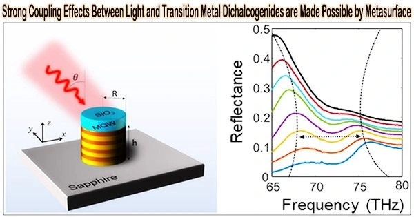 Strong Coupling Effects Between Light and Transition Metal Dichalcogenides are Made Possible by Metasurface