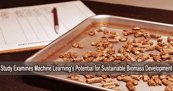 Study Examines Machine Learning’s Potential for Sustainable Biomass Development