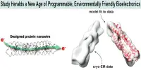 Study Heralds a New Age of Programmable, Environmentally Friendly Bioelectronics