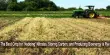The Best Crop for ‘Nabbing’ Nitrates, Storing Carbon, and Producing Bioenergy is Rye