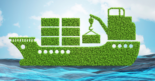 The Public Favors Hydrogen and Biofuels for Decarbonizing Global Shipping