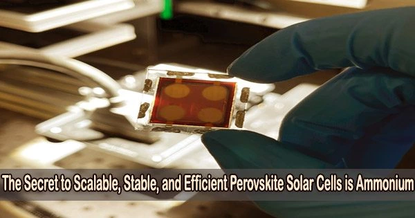 The Secret to Scalable, Stable, and Efficient Perovskite Solar Cells is Ammonium