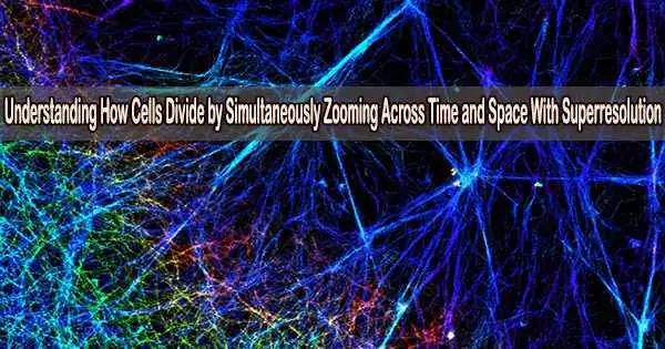 Understanding How Cells Divide by Simultaneously Zooming Across Time and Space With Superresolution