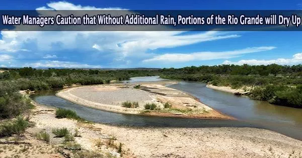 Water Managers Caution that Without Additional Rain, Portions of the Rio Grande will Dry Up
