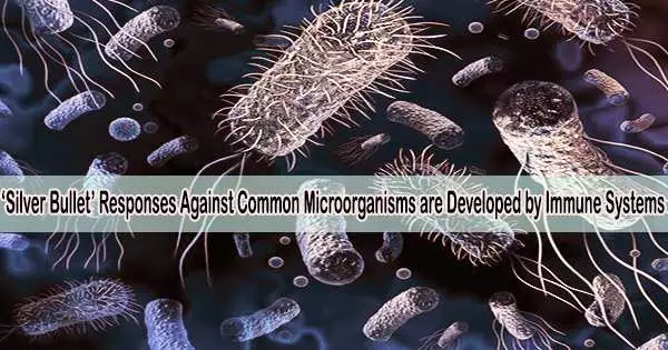 ‘Silver Bullet’ Responses Against Common Microorganisms are Developed by Immune Systems
