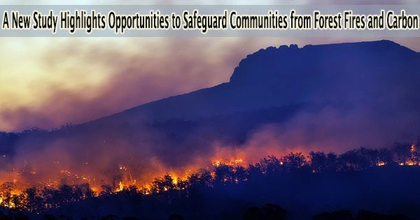 A New Study Highlights Opportunities to Safeguard Communities from Forest Fires and Carbon