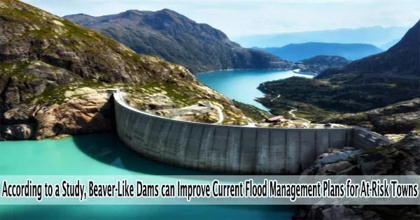 According to a Study, Beaver-Like Dams can Improve Current Flood Management Plans for At-Risk Towns