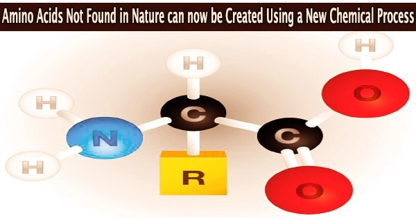 Amino Acids Not Found in Nature can now be Created Using a New Chemical Process