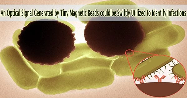 An Optical Signal Generated by Tiny Magnetic Beads could be Swiftly Utilized to Identify Infections