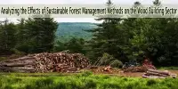Analyzing the Effects of Sustainable Forest Management Methods on the Wood Building Sector
