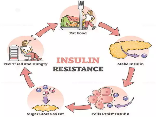 Bacteria treatment reduces insulin resistance, protects against diabetes