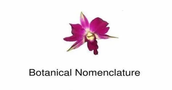 Botanical Nomenclature