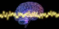Brain-wave Data and Hearing Tests may aid in the Earlier Identification of Autism
