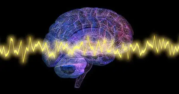 Brain-wave Data and Hearing Tests may aid in the Earlier Identification of Autism
