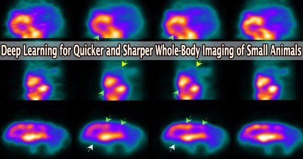 Deep Learning for Quicker and Sharper Whole-Body Imaging of Small Animals