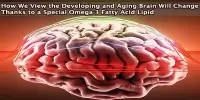 How We View the Developing and Aging Brain Will Change Thanks to a Special Omega-3 Fatty Acid Lipid