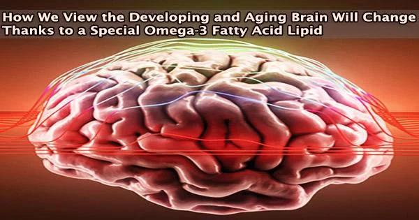 How We View the Developing and Aging Brain Will Change Thanks to a Special Omega-3 Fatty Acid Lipid