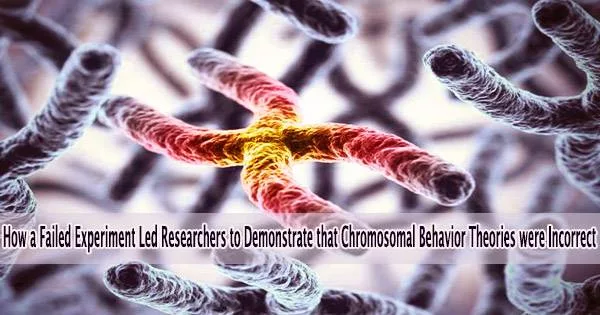 How a Failed Experiment Led Researchers to Demonstrate that Chromosomal Behavior Theories were Incorrect
