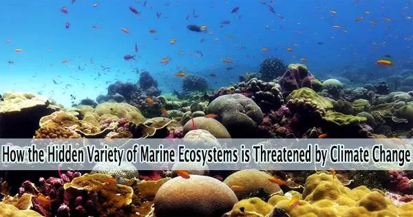 How the Hidden Variety of Marine Ecosystems is Threatened by Climate Change
