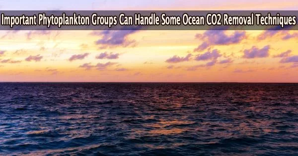 Important Phytoplankton Groups Can Handle Some Ocean CO2 Removal Techniques
