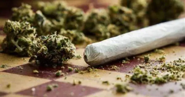 Marijuana Smokers are more likely to get Emphysema than Cigarette Smokers