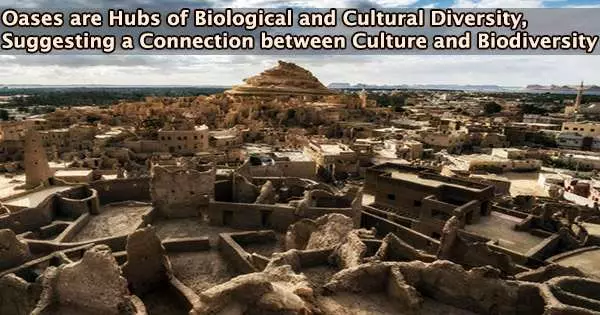 Oases are Hubs of Biological and Cultural Diversity, Suggesting a Connection between Culture and Biodiversity