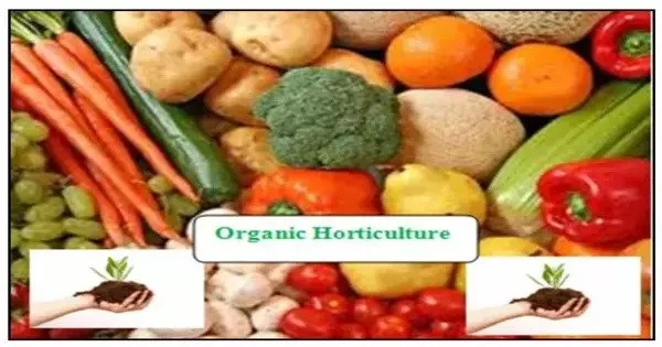 Organic Horticulture – a science and art of growing plants