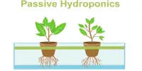 Passive Hydroponics