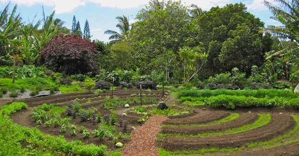 Permaculture – an approach to land management