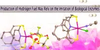 Production of Hydrogen Fuel May Rely on the Imitation of Biological Enzymes