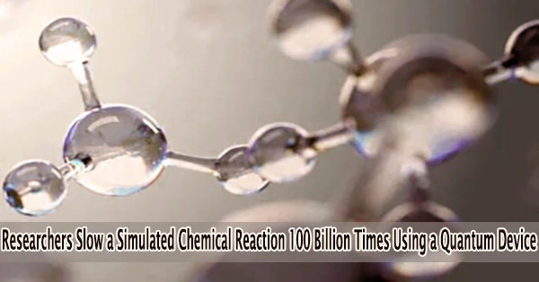 Researchers Slow a Simulated Chemical Reaction 100 Billion Times Using a Quantum Device