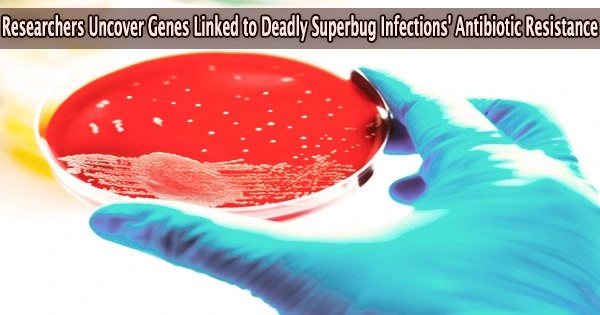 Researchers Uncover Genes Linked to Deadly Superbug Infections’ Antibiotic Resistance
