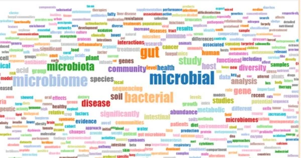 Researchers Use Data to link Food to Changes in the Microbiome