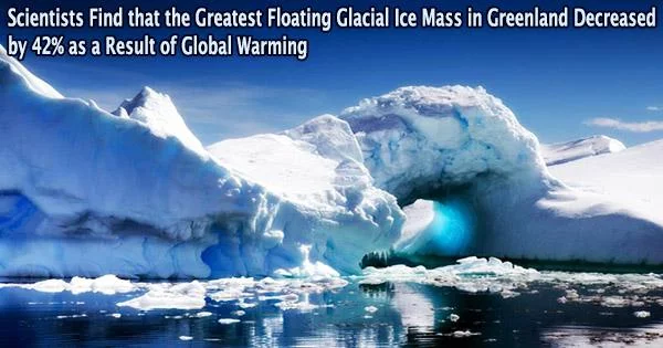 Scientists Find that the Greatest Floating Glacial Ice Mass in Greenland Decreased by 42% as a Result of Global Warming