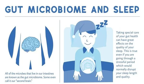 Irregular sleep patterns associated with harmful gut bacteria