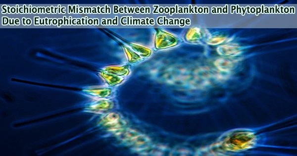 Stoichiometric Mismatch Between Zooplankton and Phytoplankton Due to Eutrophication and Climate Change