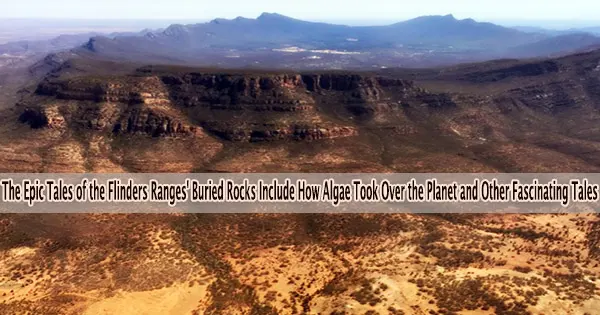 The Epic Tales of the Flinders Ranges’ Buried Rocks Include How Algae Took Over the Planet and Other Fascinating Tales