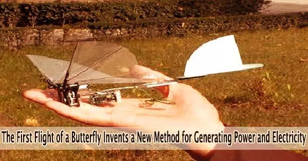The First Flight of a Butterfly Invents a New Method for Generating Power and Electricity