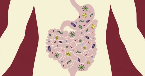 Gut Microbiota is influenced by Adversity throughout Generations