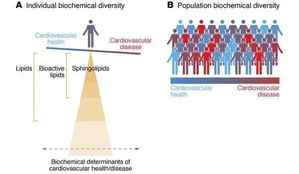 The human lipidome reveals new indicators of health, disease and aging